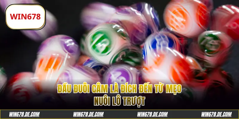 Đầu đuôi câm là đích đến từ mẹo chơi lô trượt